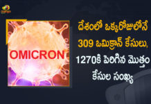 Coronavirus, Coronavirus Cases, coronavirus cases in india state wise, coronavirus cases in india today state wise, coronavirus cases india, COVID-19, COVID-19 Cases in India, covid-19 new variant, India Omicron Cases, India Reports 6563 Covid-19 Cases in Last 24 Hours, Mango News, Mango News Telugu, New coronavirus Strain, New Covid 19 Variant, New Covid Strain Omicron, Omicron, , Omicron Cases In India, Omicron covid variant, Omicron variant, Update on Omicron