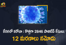 కేరళలో కరోనా : కొత్తగా 2846 పాజిటివ్ కేసులు, 12 మరణాలు నమోదు Kerala Corona, Kerala Corona Cases, Kerala Corona Deaths, Kerala Corona Positive Cases, Kerala Corona Positive Cases Update, Kerala Coronavirus, Kerala Coronavirus Cases, Kerala Coronavirus News, Kerala Coronavirus Positive Cases, Kerala Coronavirus Updates, Kerala Covid-19, Kerala Covid-19 Cases, Kerala Covid-19 New Positive Cases, Kerala Covid-19 Updates, Kerala State Corona Positive Cases Update, Mango News