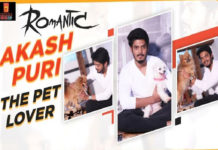 coffeeinchaicup,Akashpuri,Romantic,Romanticmovie,Ketikasharma,Tollywood,Akashpuripetlover,RomanticAkashpuri,Purijagannadh,whatdoyouwant,naavallakadhe,meranaamvascodagama,ifyouremadiamyourdad,nuvvunenuekshanam,Ramyakrishna,Mandirabedi,TFI,Prabhas,Movie,telugucinema,pomerian,Labrador,dogs,doglover,turtles,minipom,husky,paws