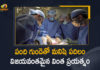 Historic, Man gets genetically-modified pig heart, Mango News, Pig Heart in a Human, Pig heart transplanted into human body, Pig heart transplanted into human body in medical first, Surgeons Implant Pig Heart Into Human Patient, US Surgeon Implants A Pig Heart Successfully Into A 57 Year old, US surgeons successfully implant pig heart in human, US Surgeons Successfully Implanted Pig Heart in a Human