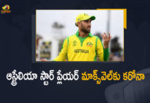 India vs South Africa 2nd Test, India vs South Africa 2nd Test Live, India vs South Africa 2nd Test Match, India vs South Africa 2nd Test Sardhul Thakur A Record of 7 Wicket Haul, India vs South Africa 2nd Test Score Updates, India vs South Africa Highlights, India vs South Africa Match, India vs South Africa Match Highlights, India vs South Africa match news, India vs South Africa match updates, india vs south africa test highlights, India vs South Africa Test Series, Mango News, Sardhul Thakur A Record of 7 Wicket Haul, sport news