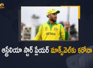 India vs South Africa 2nd Test, India vs South Africa 2nd Test Live, India vs South Africa 2nd Test Match, India vs South Africa 2nd Test Sardhul Thakur A Record of 7 Wicket Haul, India vs South Africa 2nd Test Score Updates, India vs South Africa Highlights, India vs South Africa Match, India vs South Africa Match Highlights, India vs South Africa match news, India vs South Africa match updates, india vs south africa test highlights, India vs South Africa Test Series, Mango News, Sardhul Thakur A Record of 7 Wicket Haul, sport news