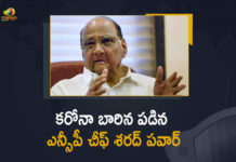 NCP Chief Sharad Pawar Tested Positive For Covid-19,NCP Chief Sharad Pawar Tested Positive , Covid-19,NCP Chief ,Sharad Pawar Tested Positive For Covid-19,NCP Chief Sharad Pawar ,NCP chief Sharad Pawar tests positive for Covid,NCP chief Sharad Pawar tests positive for coronavirus,Coronavirus, Coronavirus Cases , coronavirus india, coronavirus news, Coronavirus outbreak,mango news