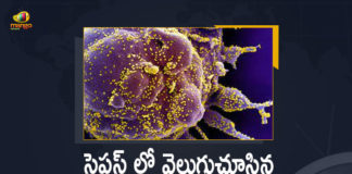 New Covid Variant Named Deltacron Detected In Cyprus, New COVID-19 Variant, Deltacron In Cyprus, Deltacron covid variant, Deltacron variant, Deltacron variant in India, Deltacron variant south africa, covid-19 new variant, New Covid 19 Variant, New Covid Strain Deltacron, New Coronavirus Strain, Deltacron, Update on Deltacron, Deltacron covid variant, Deltacron variant, Mango News, Mango News Telugu,