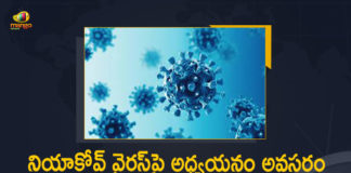 Covid New Variant, Covid New Variant NeoCov, Further Study is Needed on NeoCov Virus, Is NeoCov Coronavirus Dangerous for Humans, Mango News, NeoCov Coronavirus, NeoCov Coronavirus Discovered By Chinese Scientists, NeoCov Coronavirus Requires Further Study, NeoCov’s potential danger to humans, NeoCov’s potential danger to humans needs further study, WHO, WHO Further Study is Needed on NeoCov Virus, WHO on NeoCov, WHO on NeoCov threat to humans