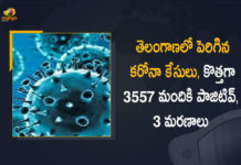 తెలంగాణలో పెరిగిన కరోనా కేసులు, కొత్తగా 3557 మందికి పాజిటివ్, 3 మరణాలు Coronavirus, COVID-19, Covid-19 Updates in Telangana, telangana corona district wise cases, telangana coronavirus cases district wise, telangana coronavirus cases today, telangana coronavirus cases today district wise, telangana coronavirus district wise, telangana coronavirus district wise List, Telangana Coronavirus News, telangana covid cases today bulletin, telangana covid cases today list,mango news