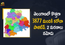 Coronavirus, COVID-19, Covid-19 Updates in Telangana, telangana corona district wise cases, telangana coronavirus cases district wise, telangana coronavirus cases today, telangana coronavirus cases today district wise, telangana coronavirus district wise, telangana coronavirus district wise List, Telangana Coronavirus News, telangana covid cases today bulletin, telangana covid cases today list,mango news