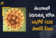 Coronavirus, COVID-19, Covid-19 Updates in Telangana, telangana corona district wise cases, telangana coronavirus cases district wise, telangana coronavirus cases today, telangana coronavirus cases today district wise, telangana coronavirus district wise, telangana coronavirus district wise List, Telangana Coronavirus News, telangana covid cases today bulletin, telangana covid cases today list,mango news