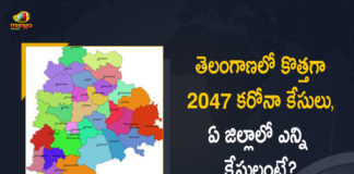 Coronavirus, COVID-19, Covid-19 Updates in Telangana, telangana corona district wise cases, telangana coronavirus cases district wise, telangana coronavirus cases today, telangana coronavirus cases today district wise, telangana coronavirus district wise, telangana coronavirus district wise List, Telangana Coronavirus News, telangana covid cases today bulletin, telangana covid cases today list,mango news