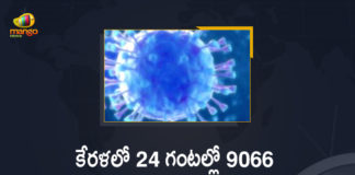 Kerala Corona, Kerala Corona Cases, Kerala Corona Deaths, Kerala Corona Positive Cases, Kerala Corona Positive Cases Update, Kerala Coronavirus, Kerala Coronavirus Cases, Kerala Coronavirus News, Kerala Coronavirus Positive Cases, Kerala Coronavirus Updates, Kerala Covid-19, Kerala Covid-19 Cases, Kerala Covid-19 New Positive Cases, Kerala Covid-19 Updates, Kerala State Corona Positive Cases Update, Mango News