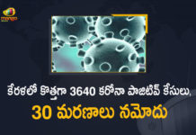 Kerala Corona, Kerala Corona Cases, Kerala Corona Deaths, Kerala Corona Positive Cases, Kerala Corona Positive Cases Update, Kerala Coronavirus, Kerala Coronavirus Cases, Kerala Coronavirus News, Kerala Coronavirus Positive Cases, Kerala Coronavirus Updates, Kerala Covid-19, Kerala Covid-19 Cases, Kerala Covid-19 New Positive Cases, Kerala Covid-19 Updates, Kerala State Corona Positive Cases Update, Mango News