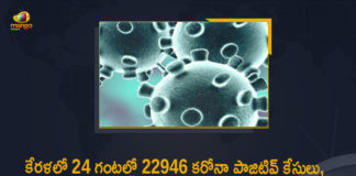 Kerala Corona, Kerala Corona Cases, Kerala Corona Deaths, Kerala Corona Positive Cases, Kerala Corona Positive Cases Update, Kerala Coronavirus, Kerala Coronavirus Cases, Kerala Coronavirus News, Kerala Coronavirus Positive Cases, Kerala Coronavirus Updates, Kerala Covid-19, Kerala Covid-19 Cases, Kerala Covid-19 New Positive Cases, Kerala Covid-19 Updates, Kerala State Corona Positive Cases Update, Mango News