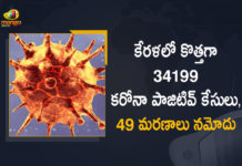 కేరళలో కొత్తగా 34199 కరోనా పాజిటివ్ కేసులు, 49 మరణాలు నమోదు Kerala Corona, Kerala Corona Cases, Kerala Corona Deaths, Kerala Corona Positive Cases, Kerala Corona Positive Cases Update, Kerala Coronavirus, Kerala Coronavirus Cases, Kerala Coronavirus News, Kerala Coronavirus Positive Cases, Kerala Coronavirus Updates, Kerala Covid-19, Kerala Covid-19 Cases, Kerala Covid-19 New Positive Cases, Kerala Covid-19 Updates, Kerala State Corona Positive Cases Update, Mango News
