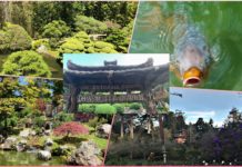 telugu traveller,telugu youtuber,telugu travel videos,telugu vlogs,telugu vlogger,around the world,telugu videos,USA telugu vlogs,America telugu vlogs,USA vlogs,US Telugu vlogs,indian food,san antonio texas,sreemadhu kitchen u0026 vlogs,japanese gaarden,sunken place,japanese tea garden san antonio,beautiful scenic v,gardenscapes,scenic places in texas,ponds and waterfalls,latest vlogs,travel vlogs 2021,travel vlogs telugu,indian vlogs in usa