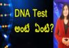 What Is Paternity DNA Testing?,Unknown Facts and Uses Of DNA Testing,YUVARAJ infotainment,dna,dna testing,facts about dna testing,dna testing uses,benefits of genetic testing,what is dna testing,methods of genetic testing,genetic testing pregnancy,dna fingerprinting,genetic testing examples,dna testing history,how is genetic testing done,types of genetic testing,genetic testing cost in india,unknown facts,interesting stories