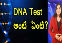 What Is Paternity DNA Testing?,Unknown Facts and Uses Of DNA Testing,YUVARAJ infotainment,dna,dna testing,facts about dna testing,dna testing uses,benefits of genetic testing,what is dna testing,methods of genetic testing,genetic testing pregnancy,dna fingerprinting,genetic testing examples,dna testing history,how is genetic testing done,types of genetic testing,genetic testing cost in india,unknown facts,interesting stories