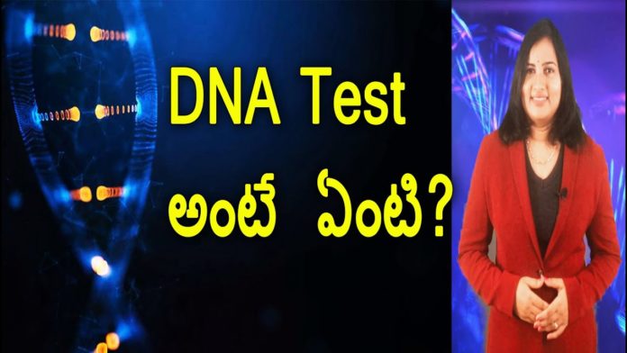 What Is Paternity DNA Testing?,Unknown Facts and Uses Of DNA Testing,YUVARAJ infotainment,dna,dna testing,facts about dna testing,dna testing uses,benefits of genetic testing,what is dna testing,methods of genetic testing,genetic testing pregnancy,dna fingerprinting,genetic testing examples,dna testing history,how is genetic testing done,types of genetic testing,genetic testing cost in india,unknown facts,interesting stories