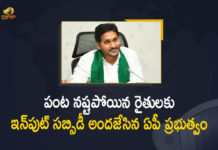 andhra pradesh, Andhra Pradesh latest news, Andhra Pradesh Latest Updates, Andhra Pradesh Live Updates, AP CM YS Jagan, AP CM YS Jagan Mohan Reddy, AP CM YS Jagan Mohan Reddy Provides Input Subsidy, AP CM YS Jagan Mohan Reddy Provides Input Subsidy To Eligible Farmers, AP CM YS Jagan Mohan Reddy Provides Input Subsidy To Eligible Farmers Releases Rs 542 Crores, Chief Minister of Andhra Pradesh, Chief Minister YS Jagan Mohan Reddy, CM YS Jagan, Mango News, Releases Rs 542 Crores, Subsidy, Subsidy To Eligible Farmers, Subsidy To Eligible Farmers Releases Rs 542 Crores, ys jagan, ys jagan mohan reddy, YS Jagan Mohan Reddy Approves Rs 542 Crores For Subsidy To Eligible Farmers