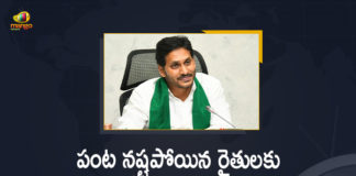 andhra pradesh, Andhra Pradesh latest news, Andhra Pradesh Latest Updates, Andhra Pradesh Live Updates, AP CM YS Jagan, AP CM YS Jagan Mohan Reddy, AP CM YS Jagan Mohan Reddy Provides Input Subsidy, AP CM YS Jagan Mohan Reddy Provides Input Subsidy To Eligible Farmers, AP CM YS Jagan Mohan Reddy Provides Input Subsidy To Eligible Farmers Releases Rs 542 Crores, Chief Minister of Andhra Pradesh, Chief Minister YS Jagan Mohan Reddy, CM YS Jagan, Mango News, Releases Rs 542 Crores, Subsidy, Subsidy To Eligible Farmers, Subsidy To Eligible Farmers Releases Rs 542 Crores, ys jagan, ys jagan mohan reddy, YS Jagan Mohan Reddy Approves Rs 542 Crores For Subsidy To Eligible Farmers