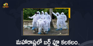 11 to Life Imprisonment, 2008 Ahmedabad bomb blasts, 2008 Ahmedabad serial blasts case, 2008 Ahmedabad serial bomb blasts, 2008 Ahmedabad serial bomb blasts case, 2008 Ahmedabad serial bomb blasts case verdict, 38 Convicts Sentenced to Capital Punishment In Ahmedabad 2008 Serial Explosions Case, Ahmedabad 2008 Explosions Case, Ahmedabad 2008 Serial Explosions, Ahmedabad 2008 Serial Explosions Case, Ahmedabad 2008 Serial Explosions Case 38 Convicts Sentenced to Capital Punishment 11 to Life Imprisonment, Ahmedabad 2008 Serial Explosions Case News, Ahmedabad serial blasts:, Mango News, Special court awards death penalty to 38 convicts