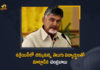 Ukraine Tension Chandrababu Naidu Speak With Stranded Telugu Students, Ukraine Tension, Chandrababu Naidu Speak With Stranded Telugu Students, Chandrababu Naidu, Stranded Telugu Students, Nara Chandrababu Naidu, Telugu Desam Party, Telugu Desam Party leader, Telugu Desam Party leader Nara Chandrababu Naidu, Ukraine-Russia Conflict, Ukraine-Russia Crisis, Russia Ukraine Conflict, Russia Ukraine, Russian Ukraine crisis Live, Russian Ukraine crisis, Russia-Ukraine War Live Updates, Russia Ukraine War, Ukraine conflict, Conflict in Ukraine, Russia Ukraine conflict LIVE updates, Russia Ukraine conflict News, Mango News, Mango News Telugu,