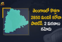 Coronavirus, COVID-19, Covid-19 Updates in Telangana, telangana corona district wise cases, telangana coronavirus cases district wise, telangana coronavirus cases today, telangana coronavirus cases today district wise, telangana coronavirus district wise, telangana coronavirus district wise List, Telangana Coronavirus News, telangana covid cases today bulletin, telangana covid cases today list,mango news