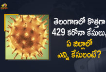 Covid-19 Updates of Telangana: 429 Positive Cases, 2421 Recoveries Reported on FEB 13th, Coronavirus, COVID-19, Covid-19 Updates in Telangana, telangana corona district wise cases, telangana coronavirus cases district wise, telangana coronavirus cases today, telangana coronavirus cases today district wise, telangana coronavirus district wise, telangana coronavirus district wise List, Telangana Coronavirus News, telangana covid cases today bulletin, telangana covid cases today list,mango news