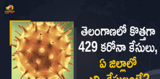 Covid-19 Updates of Telangana: 429 Positive Cases, 2421 Recoveries Reported on FEB 13th, Coronavirus, COVID-19, Covid-19 Updates in Telangana, telangana corona district wise cases, telangana coronavirus cases district wise, telangana coronavirus cases today, telangana coronavirus cases today district wise, telangana coronavirus district wise, telangana coronavirus district wise List, Telangana Coronavirus News, telangana covid cases today bulletin, telangana covid cases today list,mango news