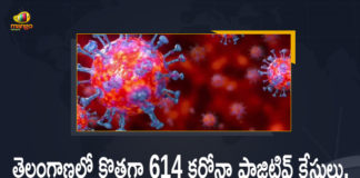 AP CM YS Jagan Decides to Lift the Night Curfew in the State