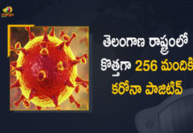 Telangana a Coronavirus, COVID-19, Covid-19 Updates in Telangana, telangana corona district wise cases, telangana coronavirus cases district wise, telangana coronavirus cases today, telangana coronavirus cases today district wise, telangana coronavirus district wise, telangana coronavirus district wise List, Telangana Coronavirus News, telangana covid cases today bulletin, telangana covid cases today list,mango newsReports 256 New Covid-19 Cases, 767 Recoveries on FEB 20th