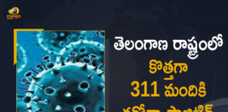 Coronavirus, COVID-19, Covid-19 Updates in Telangana, telangana corona district wise cases, telangana coronavirus cases district wise, telangana coronavirus cases today, telangana coronavirus cases today district wise, telangana coronavirus district wise, telangana coronavirus district wise List, Telangana Coronavirus News, telangana covid cases today bulletin, telangana covid cases today list,mango news,Mango News Telugu,
