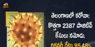 Coronavirus, COVID-19, Covid-19 Updates in Telangana, telangana corona district wise cases, telangana coronavirus cases district wise, telangana coronavirus cases today, telangana coronavirus cases today district wise, telangana coronavirus district wise, telangana coronavirus district wise List, Telangana Coronavirus News, telangana covid cases today bulletin, telangana covid cases today list,mango news