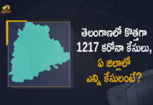 Coronavirus, COVID-19, Covid-19 Updates in Telangana, telangana corona district wise cases, telangana coronavirus cases district wise, telangana coronavirus cases today, telangana coronavirus cases today district wise, telangana coronavirus district wise, telangana coronavirus district wise List, Telangana Coronavirus News, telangana covid cases today bulletin, telangana covid cases today list,mango news