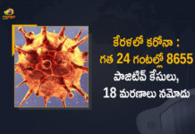 Kerala Corona, Kerala Corona Cases, Kerala Corona Deaths, Kerala Corona Positive Cases, Kerala Corona Positive Cases Update, Kerala Coronavirus, Kerala Coronavirus Cases, Kerala Coronavirus News, Kerala Coronavirus Positive Cases, Kerala Coronavirus Updates, Kerala Covid-19, Kerala Covid-19 Cases, Kerala Covid-19 New Positive Cases, Kerala Covid-19 Updates, Kerala State Corona Positive Cases Update, Mango News