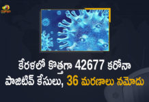 Kerala Corona, Kerala Corona Cases, Kerala Corona Deaths, Kerala Corona Positive Cases, Kerala Corona Positive Cases Update, Kerala Coronavirus, Kerala Coronavirus Cases, Kerala Coronavirus News, Kerala Coronavirus Positive Cases, Kerala Coronavirus Updates, Kerala Covid-19, Kerala Covid-19 Cases, Kerala Covid-19 New Positive Cases, Kerala Covid-19 Updates, Kerala State Corona Positive Cases Update, Mango News