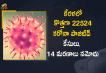 కేరళలో కొత్తగా 22524 కరోనా పాజిటివ్ కేసులు, 14 మరణాలు నమోదు Kerala Reports 22524 New Covid-19 Cases and 14 Deaths Reported in Last 24 Hours,Kerala Corona, Kerala Corona Cases, Kerala Corona Deaths, Kerala Corona Positive Cases, Kerala Corona Positive Cases Update, Kerala Coronavirus, Kerala Coronavirus Cases, Kerala Coronavirus News, Kerala Coronavirus Positive Cases, Kerala Coronavirus Updates, Kerala Covid-19, Kerala Covid-19 Cases, Kerala Covid-19 New Positive Cases, Kerala Covid-19 Updates, Kerala State Corona Positive Cases Update, Mango News