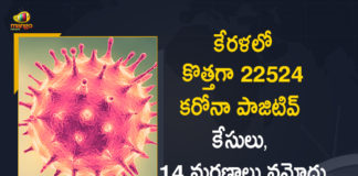 Kerala Reports 22524 New Covid-19 Cases and 14 Deaths Reported in Last 24 Hours,Kerala Corona, Kerala Corona Cases, Kerala Corona Deaths, Kerala Corona Positive Cases, Kerala Corona Positive Cases Update, Kerala Coronavirus, Kerala Coronavirus Cases, Kerala Coronavirus News, Kerala Coronavirus Positive Cases, Kerala Coronavirus Updates, Kerala Covid-19, Kerala Covid-19 Cases, Kerala Covid-19 New Positive Cases, Kerala Covid-19 Updates, Kerala State Corona Positive Cases Update, Mango News