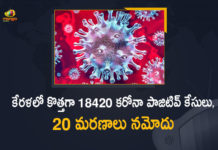 కేరళలో కొత్తగా 18420 కరోనా పాజిటివ్ కేసులు, 20 మరణాలు నమోదు Kerala Corona, Kerala Corona Cases, Kerala Corona Deaths, Kerala Corona Positive Cases, Kerala Corona Positive Cases Update, Kerala Coronavirus, Kerala Coronavirus Cases, Kerala Coronavirus News, Kerala Coronavirus Positive Cases, Kerala Coronavirus Updates, Kerala Covid-19, Kerala Covid-19 Cases, Kerala Covid-19 New Positive Cases, Kerala Covid-19 Updates, Kerala State Corona Positive Cases Update, Mango News