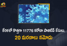 Kerala Corona, Kerala Corona Cases, Kerala Corona Deaths, Kerala Corona Positive Cases, Kerala Corona Positive Cases Update, Kerala Coronavirus, Kerala Coronavirus Cases, Kerala Coronavirus News, Kerala Coronavirus Positive Cases, Kerala Coronavirus Updates, Kerala Covid-19, Kerala Covid-19 Cases, Kerala Covid-19 New Positive Cases, Kerala Covid-19 Updates, Kerala State Corona Positive Cases Update, Mango News