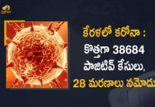 కేరళలో కరోనా : కొత్తగా 38684 పాజిటివ్ కేసులు, 28 మరణాలు నమోదు Kerala Corona, Kerala Corona Cases, Kerala Corona Deaths, Kerala Corona Positive Cases, Kerala Corona Positive Cases Update, Kerala Coronavirus, Kerala Coronavirus Cases, Kerala Coronavirus News, Kerala Coronavirus Positive Cases, Kerala Coronavirus Updates, Kerala Covid-19, Kerala Covid-19 Cases, Kerala Covid-19 New Positive Cases, Kerala Covid-19 Updates, Kerala State Corona Positive Cases Update, Mango News