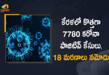 Kerala Corona, Kerala Corona Cases, Kerala Corona Deaths, Kerala Corona Positive Cases, Kerala Corona Positive Cases Update, Kerala Coronavirus, Kerala Coronavirus Cases, Kerala Coronavirus News, Kerala Coronavirus Positive Cases, Kerala Coronavirus Updates, Kerala Covid-19, Kerala Covid-19 Cases, Kerala Covid-19 New Positive Cases, Kerala Covid-19 Updates, Kerala State Corona Positive Cases Update, Mango News