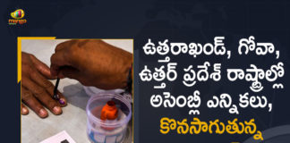 2022 Up Assembly Elections, Assembly Elections, Goa Assembly Elections, Goa Elections, Mango News, UP assembly election 2022, UP Assembly Elections, Up Assembly Polls, UP Elections, UP Elections 2022, UP Elections 2022 Latest Update, UP Polls, Uttarakhand, Uttarakhand Assembly Elections, Voting Underway for Uttar Pradesh, Voting Underway for Uttar Pradesh Uttarakhand Goa Assembly Elections