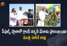 Minister Harish Rao Inaugurates Grand Nursery Fair at People's Plaza in Hyderabad, Minister Harish Rao, Harish Rao Inaugurates Grand Nursery Fair at People's Plaza in Hyderabad, Minister Harish Rao Inaugurates Grand Nursery Fair at People's Plaza, Grand Nursery Fair at People's Plaza, Grand Nursery Fair at People's Plaza in Hyderabad, People's Plaza in Hyderabad, Grand Nursery Fair, People's Plaza, Harish Rao, Minister of Finance of Telangana, Telangana Minister Harish Rao, Minister Harish Rao Inaugurates Grand Nursery Fair, Harish Rao Inaugurates Grand Nursery Fair, Telangana Minister Harish Rao Inaugurates Grand Nursery Fair, Hyderabad, Nursery Fair, Mango News, Mango News Telugu,