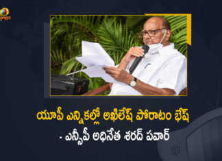 NCP Chief Sharad Pawar Responds on UP Results, Says Akhilesh Fought Well, NCP Chief Sharad Pawar Responds on UP Results, NCP Chief Sharad Pawar Says Akhilesh Fought Well, NCP Chief Sharad Pawar Responds on UP Results And Says Akhilesh Fought Well, NCP Chief Sharad Pawar, NCP Chief, Sharad Pawar,Uttar Pradesh Assembly Election Results 2022 Live Updates, Poll Results of UP, Poll Results of UP 2022 Assembly Elections, Counting of Votes 2022 Assembly Elections Results Live Updates, Assembly Elections-2022, Uttar Pradesh Assembly Election Results 2022, Election 2022, Assembly Election, Assembly Election 2022, 2022 Assembly Election, Assembly Elections, Assembly Elections Latest News, Assembly Elections Latest Updates, Assembly Elections Live Updates, 2022 Assembly Elections, Assembly Elections, Elections, Mango News, Mango News Telugu,