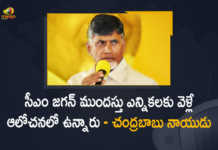 TDP Chief Chandrababu Naidu Predicts That CM Jagan May Go For Early Elections, Chandrababu Naidu Predicts That CM Jagan May Go For Early Elections, CM Jagan May Go For Early Elections, TDP Chief Chandrababu Naidu, Chandrababu Naidu, Nara Chandrababu Naidu, TDP Chief Nara Chandrababu Naidu, TDP Chief Chandrababu Naidu Predicts That AP CM YS Jagan May Go For Early Elections, AP CM YS Jagan May Go For Early Elections, Chandrababu Naidu Says That AP CM YS Jagan May Go For Early Elections, Early Elections, AP CM YS Jagan, CM YS Jagan, YS Jagan, Mango News, Mango News Telugu,