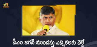 TDP Chief Chandrababu Naidu Predicts That CM Jagan May Go For Early Elections, Chandrababu Naidu Predicts That CM Jagan May Go For Early Elections, CM Jagan May Go For Early Elections, TDP Chief Chandrababu Naidu, Chandrababu Naidu, Nara Chandrababu Naidu, TDP Chief Nara Chandrababu Naidu, TDP Chief Chandrababu Naidu Predicts That AP CM YS Jagan May Go For Early Elections, AP CM YS Jagan May Go For Early Elections, Chandrababu Naidu Says That AP CM YS Jagan May Go For Early Elections, Early Elections, AP CM YS Jagan, CM YS Jagan, YS Jagan, Mango News, Mango News Telugu,