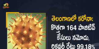 Telangana Records 164 New Covid-19 Cases 385 Recoveries on March 3rd, Telangana, 164 New Covid-19 Positive Cases, 385 Recoveries Reported, 164 Positive Cases, Telangana Covid-19, 385 Recoveries Reported on March 3rd, 164 New Covid-19 Positive Cases and 385 Recoveries Reported In Telangana, 164 New Covid-19 Cases 385 Recoveries in Last 24 Hours In Telangana, Covid-19 Updates of Telangana 164 Positive Cases 385 Recoveries Reported on March 3rd, Telangana Covid-19 Updates 164 Positive Cases 385 Recoveries Reported on March 3rd, 164 new Covid-19 cases, 164 new Covid-19 cases In Telangana, 385 Recoveries In Telangana, Telangana Covid-19 Updates, Telangana Covid-19 Live Updates, Telangana Covid-19 Latest Updates, Coronavirus, coronavirus Telangana, Coronavirus Updates, COVID-19, COVID-19 Live Updates, Covid-19 New Updates, Mango News, Mango News Telugu, Omicron Cases, Omicron, Update on Omicron, Omicron covid variant, Omicron variant, 164 Positive Cases, Telangana Department of Health, Telangana coronavirus, Telangana coronavirus News, Telangana coronavirus Live Updates,