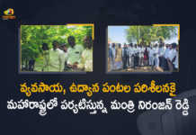 వ్యవసాయ, ఉద్యాన పంటల పరిశీలనకై మహారాష్ట్రలో పర్యటిస్తున్న మంత్రి నిరంజన్ రెడ్డి Minister Niranjan Reddy Touring in Maharashtra to Inspect Agricultural and Horticultural Crops, Minister Niranjan Reddy Touring in Maharashtra, Minister Niranjan Reddy Touring in Maharashtra to Inspect Agricultural Crops, Minister Niranjan Reddy Touring in Maharashtra to Inspect Horticultural Crops, Agricultural and Horticultural Crops, Agricultural Crops, Horticultural Crops, Minister Niranjan Reddy, Niranjan Reddy, Singireddy Niranjan Reddy, Minister of Agriculture of Telangana, Singireddy Niranjan Reddy Minister of Agriculture of Telangana, Agriculture Minister of Telangana Touring in Maharashtra, Agriculture Minister of Telangana, Mango News, Mango News Telugu,