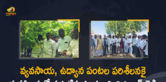 Minister Niranjan Reddy Touring in Maharashtra to Inspect Agricultural and Horticultural Crops, Minister Niranjan Reddy Touring in Maharashtra, Minister Niranjan Reddy Touring in Maharashtra to Inspect Agricultural Crops, Minister Niranjan Reddy Touring in Maharashtra to Inspect Horticultural Crops, Agricultural and Horticultural Crops, Agricultural Crops, Horticultural Crops, Minister Niranjan Reddy, Niranjan Reddy, Singireddy Niranjan Reddy, Minister of Agriculture of Telangana, Singireddy Niranjan Reddy Minister of Agriculture of Telangana, Agriculture Minister of Telangana Touring in Maharashtra, Agriculture Minister of Telangana, Mango News, Mango News Telugu,