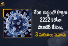కేరళ రాష్ట్రంలో కొత్తగా 2222 కరోనా పాజిటివ్ కేసులు, 3 మరణాలు నమోదు Covid-19 in Kerala 2222 New Positive Cases and 3 Deaths Reported in Last 24 Hours, Kerala, 2222 New Covid-19 Positive Cases, 3 Deaths Reported, 2222 Positive Cases, Kerala Covid-19, 3 Deaths Reported on March 2nd, 2222 New Covid-19 Positive Cases and 3 Deaths Reported In Kerala, 2222 New Covid-19 Cases 3 Deaths in Last 24 Hours In Kerala, Covid-19 Updates of Kerala 2222 Positive Cases 3 Deaths Reported on March 2nd, Kerala Covid-19 Updates 2222 Positive Cases 3 Deaths Reported on March 2nd, 2222 new Covid-19 cases, 2222 new Covid-19 cases In Kerala, 3 Deaths In Kerala, Kerala Covid-19 Updates, Kerala Covid-19 Live Updates, Kerala Covid-19 Latest Updates, Coronavirus, coronavirus Kerala, Coronavirus Updates, COVID-19, COVID-19 Live Updates, Covid-19 New Updates, Mango News, Mango News Telugu, Omicron Cases, Omicron, Update on Omicron, Omicron covid variant, Omicron variant, 2222 Positive Cases, Kerala Department of Health, Kerala coronavirus, Kerala coronavirus News, Kerala coronavirus Live Updates,